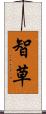 智草 Scroll