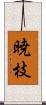 暁枝 Scroll