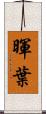 暉葉 Scroll