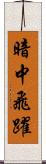 暗中飛躍 Scroll