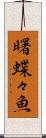 曙蝶々魚 Scroll