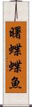曙蝶蝶魚 Scroll