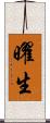 曜生 Scroll