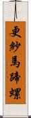 更紗馬蹄螺 Scroll