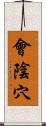 會陰穴 Scroll