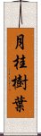 月桂樹葉 Scroll