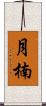 月楠 Scroll
