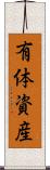 有体資産 Scroll