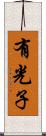 有光子 Scroll