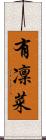 有凜菜 Scroll