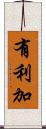 有利加 Scroll