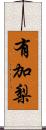 有加梨 Scroll