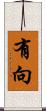 有向 Scroll