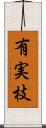 有実枝 Scroll