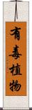 有毒植物 Scroll