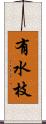 有水枝 Scroll