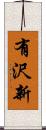有沢新 Scroll
