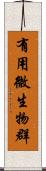 有用微生物群 Scroll