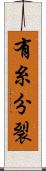 有糸分裂 Scroll