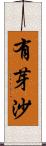 有芽沙 Scroll