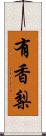 有香梨 Scroll