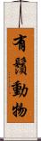 有鬚動物 Scroll