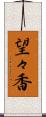 望々香 Scroll