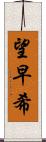 望早希 Scroll