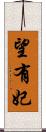 望有妃 Scroll