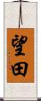 望田 Scroll