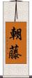朝藤 Scroll