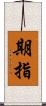 期指 Scroll