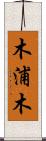 木浦木 Scroll
