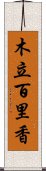 木立百里香 Scroll