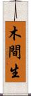 木間生 Scroll