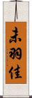 未羽佳 Scroll