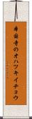 本国寺のオハツキイチョウ Scroll
