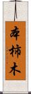 本柿木 Scroll