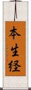 本生経 Scroll