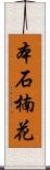 本石楠花 Scroll