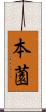 本薗 Scroll