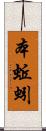 本蚯蚓 Scroll