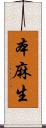 本麻生 Scroll