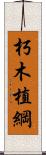 朽木植綱 Scroll