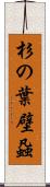 杉の葉壁蝨 Scroll