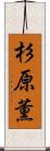 杉原薫 Scroll