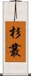 杉叢 Scroll