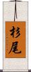 杉尾 Scroll