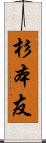 杉本友 Scroll