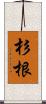 杉根 Scroll